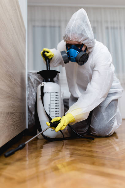 Best Bed Bug Extermination  in Basile, LA